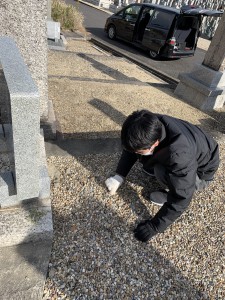 平和公園　杉光